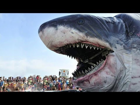 Biggest fish in the world found alive-Top the