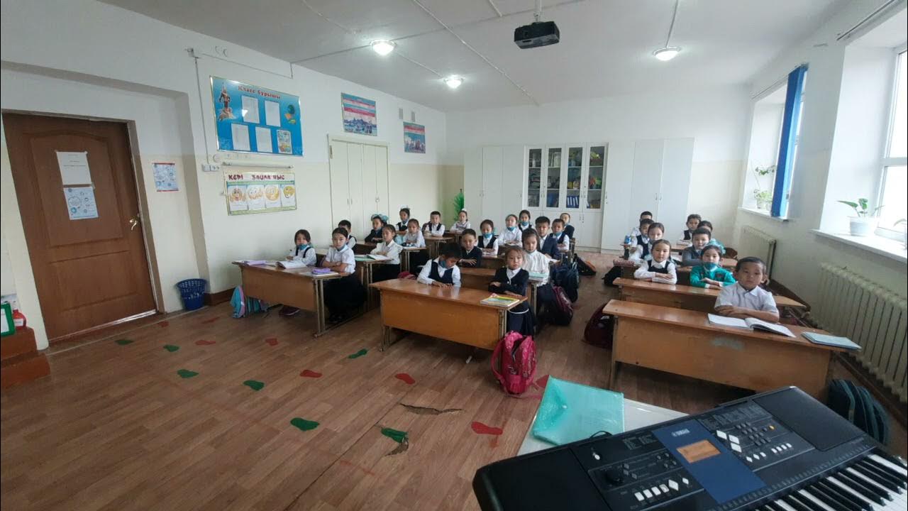 Сперматозоидтар