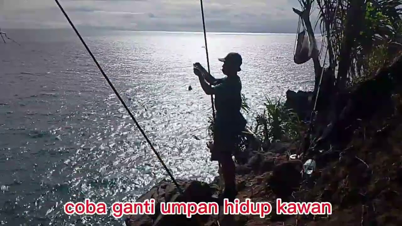 Mancing dasaran! menjajal spot babon!!umpan cumi vs umpan hidup 