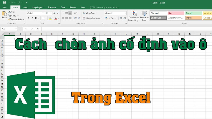 Hướng dẫn chèn ảnh cố định vào ô trong excel	Informational năm 2024