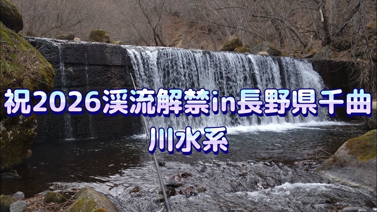 【祝渓流釣り解禁】長野県千曲川水系の解禁日にルアーとエサ釣り二刀流で挑んだ結果…