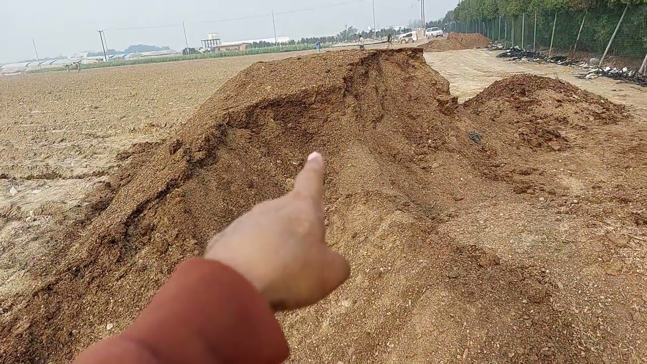 التجهيز لزراعة الكتالوب أو البطيخ أو الشمام . بداية من الان حتى نهاية المحصول تابعونا.