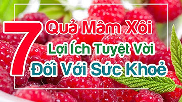 Quả mâm xôi và 7 lợi ích tuyệt vời đối với sức khỏe - GDVSPORT #99
