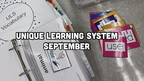 Organizing the Unique Learning System + what I am printing for September 2024