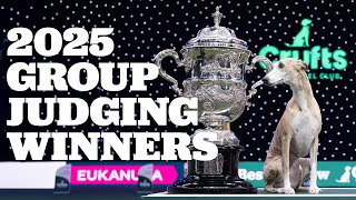Fiery Jack Russells and Massive Tibetan Mastiffs 🐶 EVERY Crufts 2025 Group Judging Winner