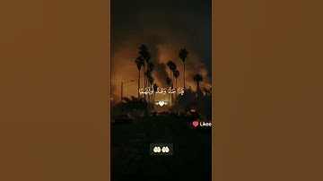 #تلاوه تريح القلب مشاءالله #اكسبلور #القران #المصحف #دويتو #لايك #الرحمن