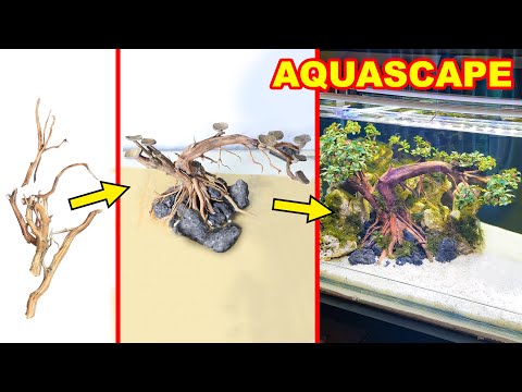 cara-mudah-membuat-pohon-untuk-aquascape-||-kayu-kecil-menjadi-kayu-besar