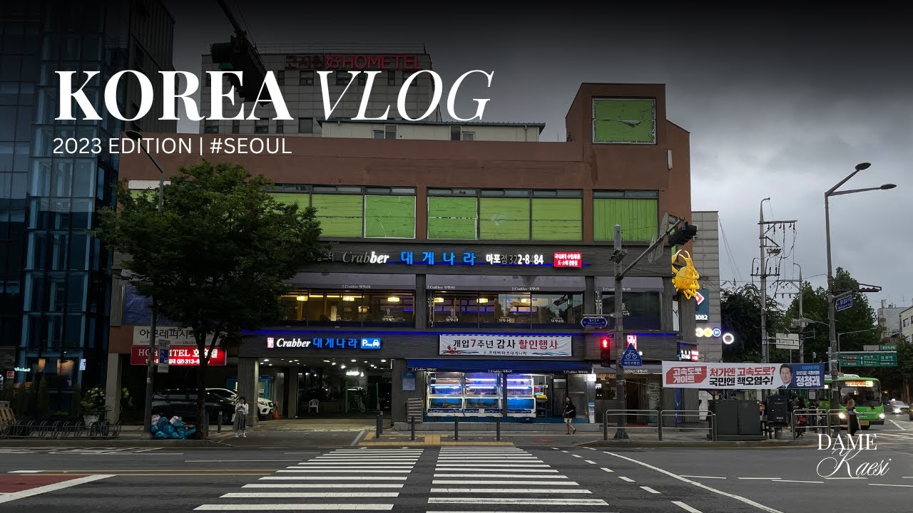 [FR] 안녕 ∣ Korea vlog