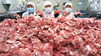 Fantastic! Mass Production of Korea’s Top 3 Meat Dishes / Korean food factory