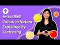 Colours in Nature Explained by Scattering | Hindi | Physics