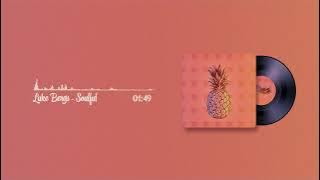 Luke Bergs - Soulful (Official Video🎷)