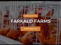 Farkald poultry farms our vision is to put an egg on the table of every nigerian child
