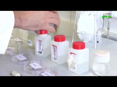 Video: Mikrobiologische Vorbereitung Tamir Für Landtoiletten