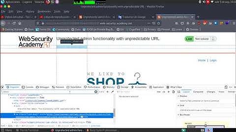 Unprotected admin functionality with unpredictable URL
