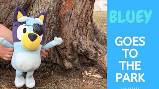 BLUEY Goes to the Park!! Learning through Play for Kids. #disneyjnr #abckids