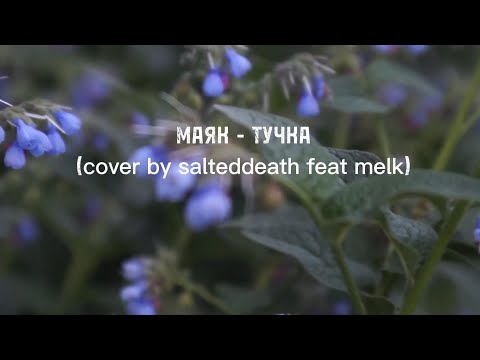 Тучка - МАЯК (cover by salteddeath feat Melk)