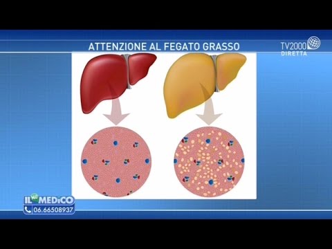 Video: Deficit Di Coagulazione (correlato Al Fegato) Nei Gatti