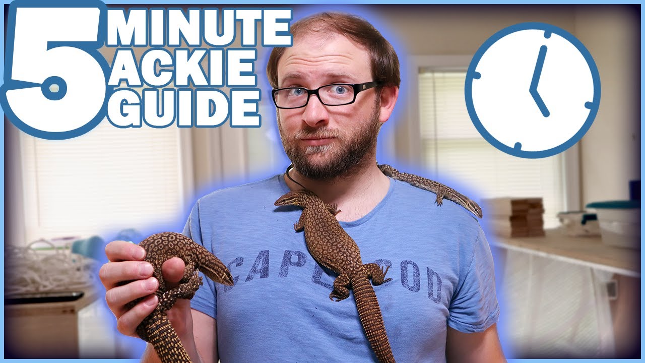 QUICK 5 Minute Ackie Monitor Care! - YouTube