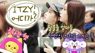 (EngSub)예상치 못한 있지네 이야기│있지ITZY