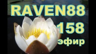 RAVEN 88 ЭФИР 158
