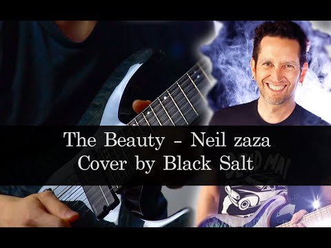 neil-zaza-_-the-beauty-cover-by-black-salt(기타-커버)
