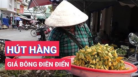 Bông điên điển đầu mùa nước nổi hút hàng, giá bán cao