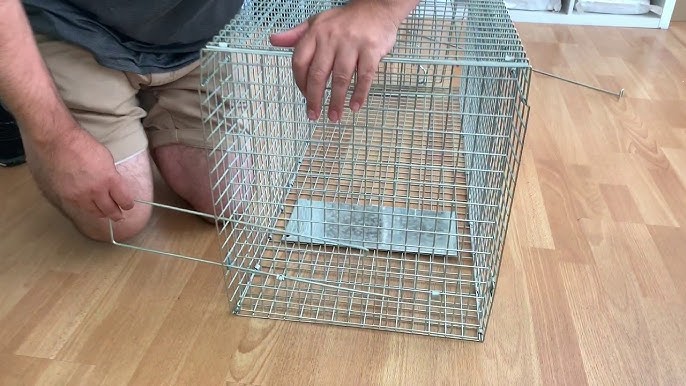 Super Size Folding Animal Trap - 50