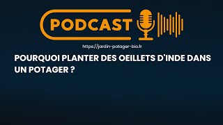 Pourquoi planter des oeillets d'inde dans un potager ?