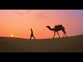 Camel with cameleer walking in desert on sunset