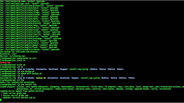 backup no linux com shell script
