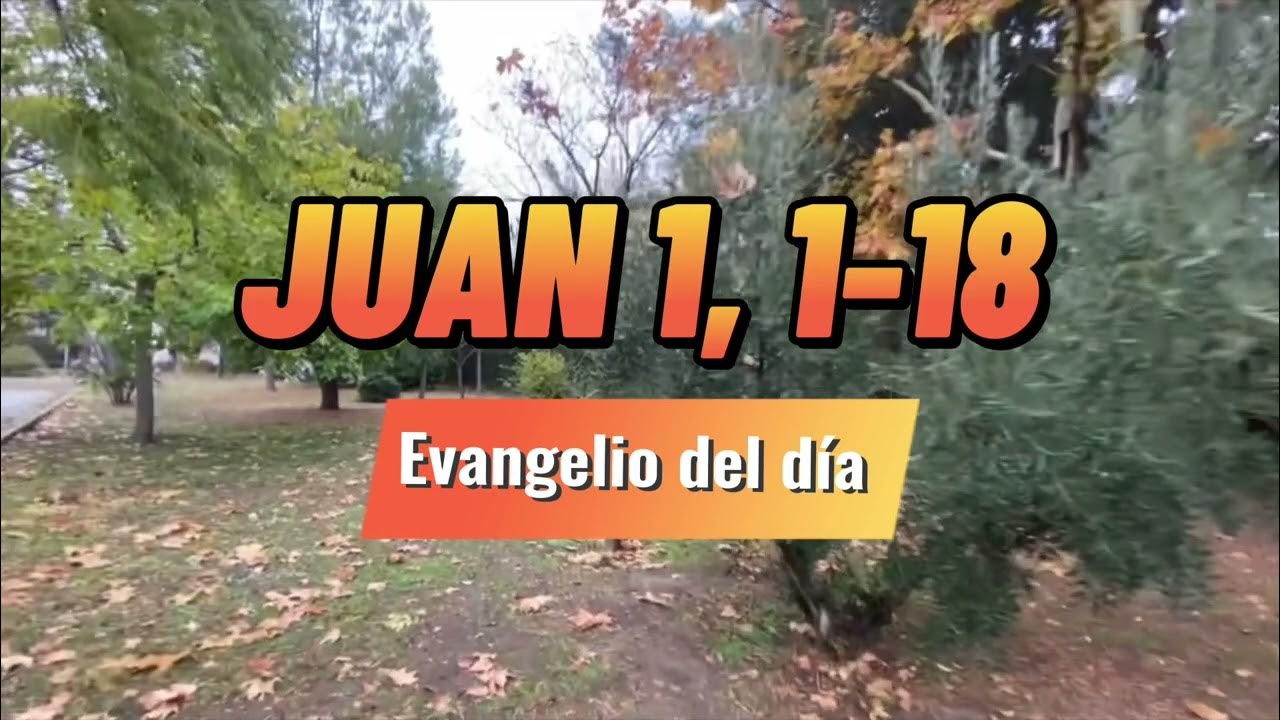 ️ EVANGELIO de HOY 31 de DICIEMBRE 📌 JUAN 1, 118 YouTube