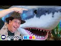 Giant Shark and Dinosaur Quest! | Jurassic Tv | Dinosaurs and Toys | T Rex Family Fun