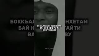 #хьехам #хьехамаш #нохчийн мотт