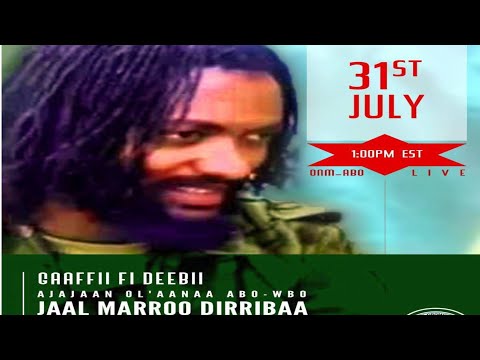 Interview Jaal Marroo Dirribaa Godhe Haala Yeroo Irratti  Interview Jaal Marroo Dirribaa Godhe Haala Yeroo Irratti