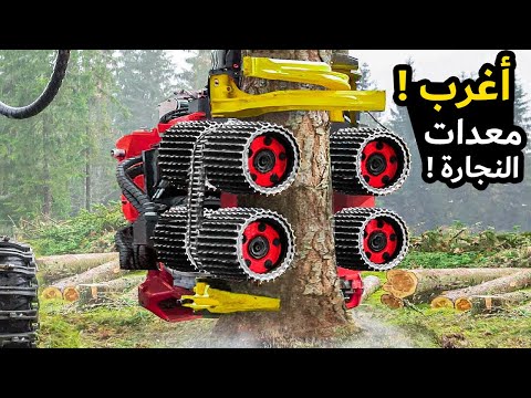 اكتشف أروع معدات النجارة الخشبية في العالم أغرب معدات النجارة الخشبية التي ستدهشك بقدراتها وأدائها