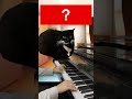 猫ミームで100万回聴くけど名前が分からない曲 #猫ミーム