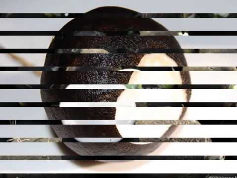 Чёрная редька лечит печень - YouTube