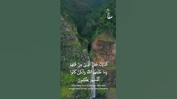 ما تيسر من سوره النحل
