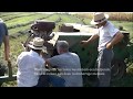 Belgians in Amish country