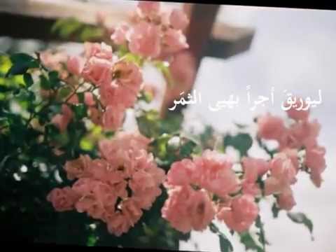 كش وق الليالي