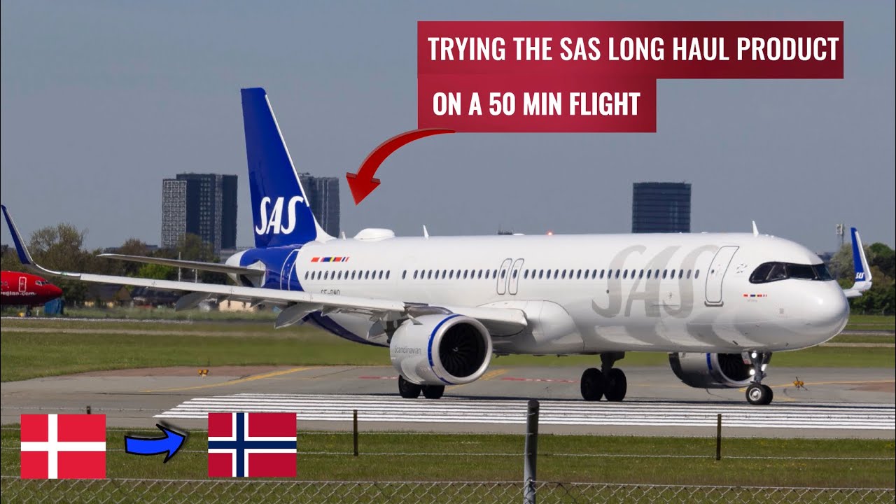 Amazon.co.jp: Inflight 1:200 完成品 for SAS for Airbus A321
