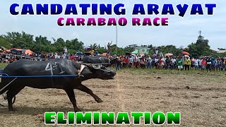 Ep. 56, BUHAY BUKID Candating carabao race elimination.