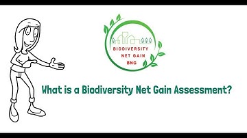 Understanding Biodiversity Net Gain (BNG) Assessments for Planning and Development
