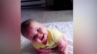 Chubby Cute Babies - Funny Babies Cute Videos Compilation.