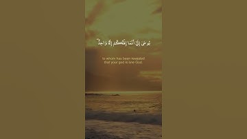 قل إنما أنا بشر مثلكم - القارىء محمود الشحات حالات واتس اب دينية قصيرة قران كريم تلاوة خاشعة ومؤثرة