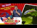 The Truth About NEON TETRA Disease |Amazing Facts about Neon Tetra| Mayur Dev Aquascaper