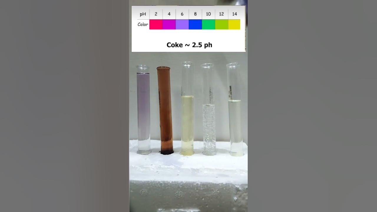 is-urine-acidic-or-basic-shortsfeed-shorts-short-youtubeshorts