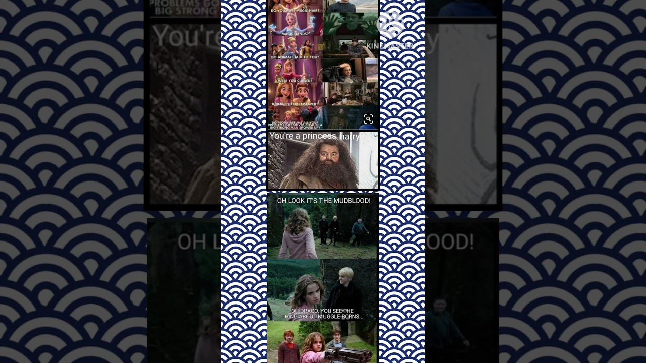 “Harry Potter Princess & Mudblood Meme Mashup”