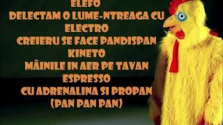 ROA-Sonata în La minor [with Lyrics] HD