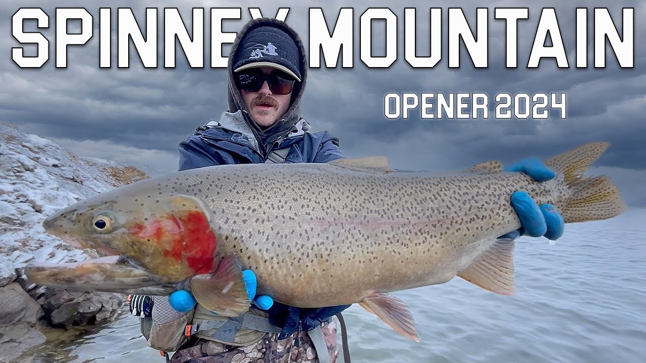 OPENING DAY 2024 Spinney Mountain Reservoir Fly Fishing for LARGE